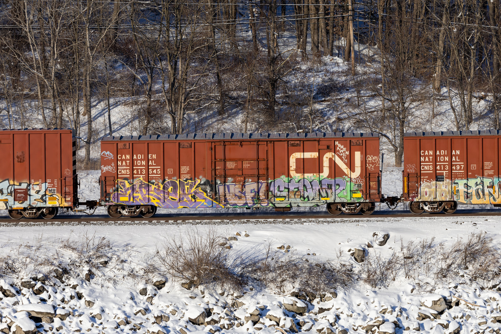 CNIS 413545