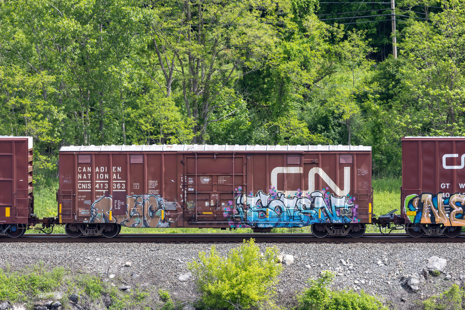 CNIS 413363