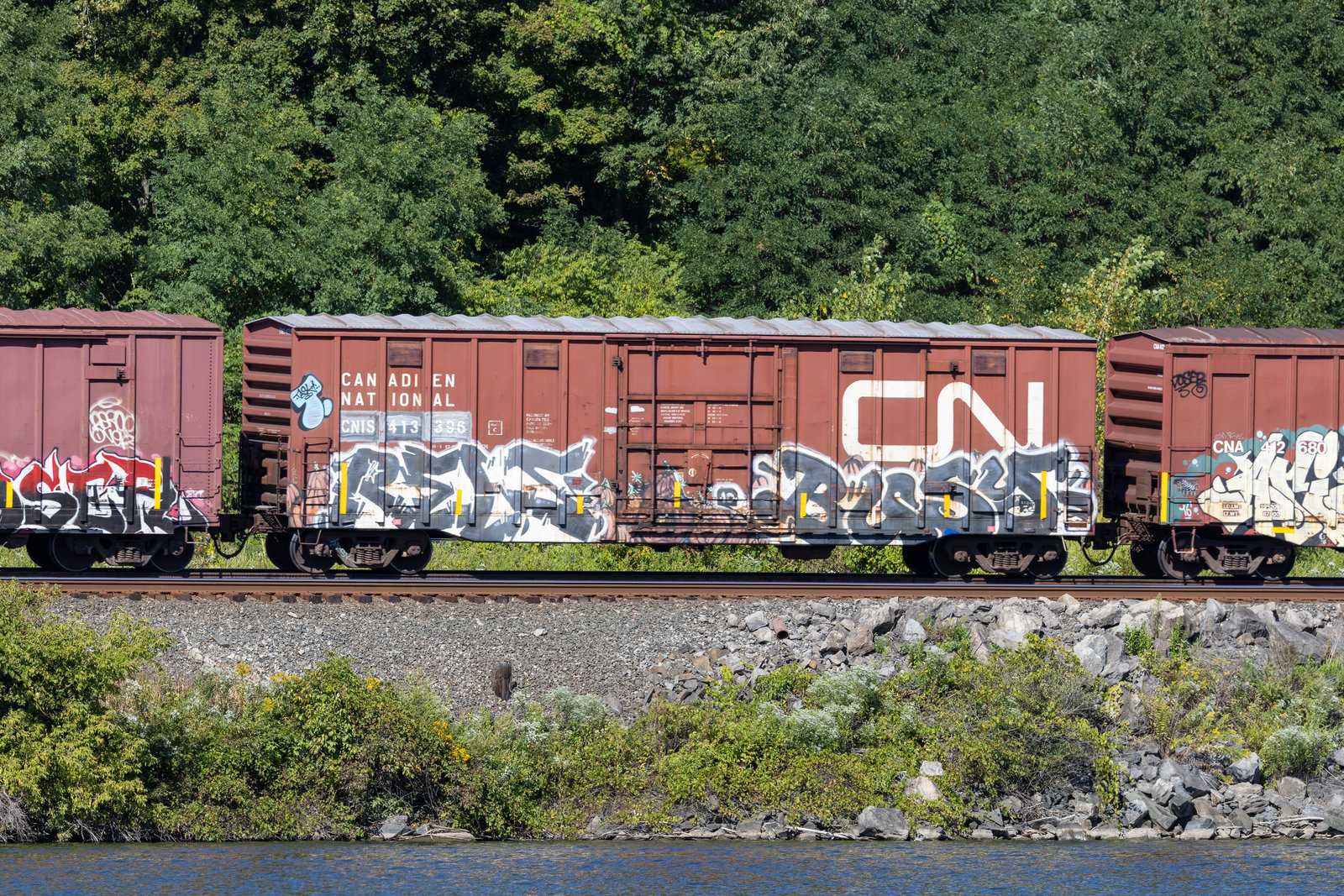 CNIS 413396
