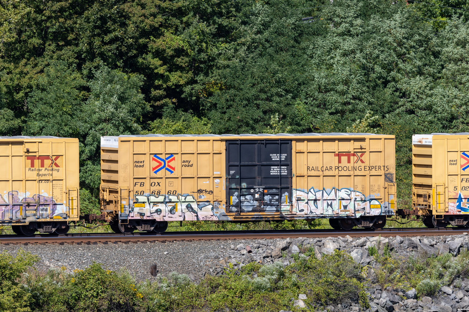 FBOX 506860