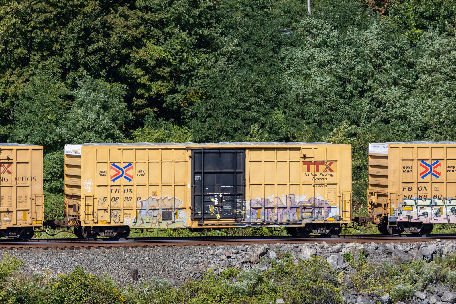 FBOX 502330