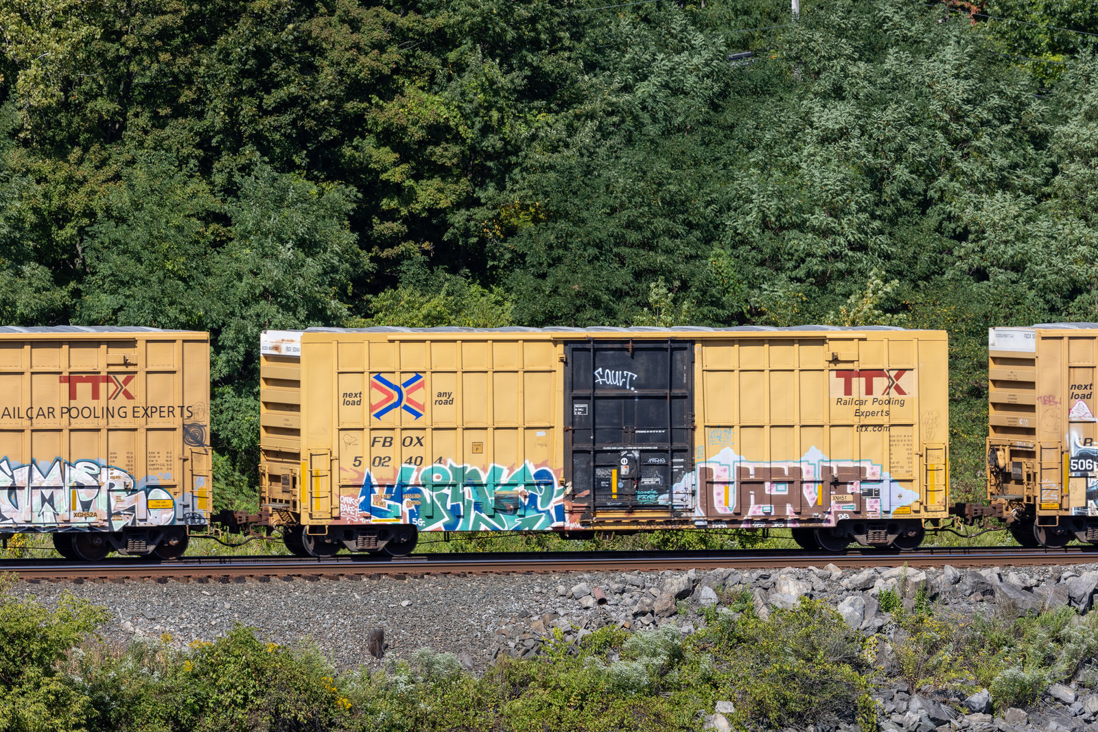 FBOX 502404
