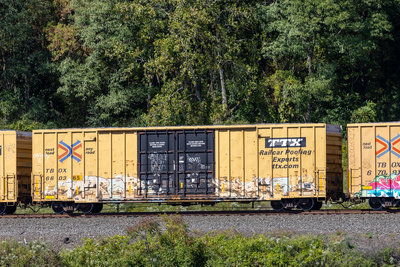TBOX 660365