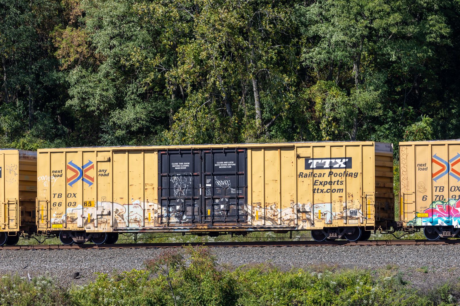 TBOX 660365