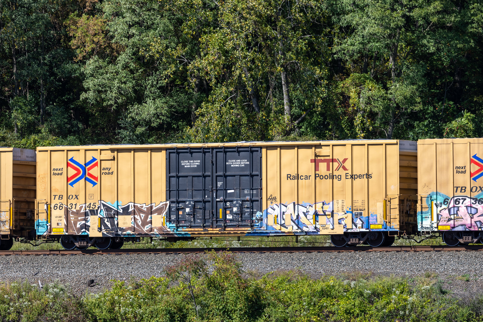 TBOX 663145