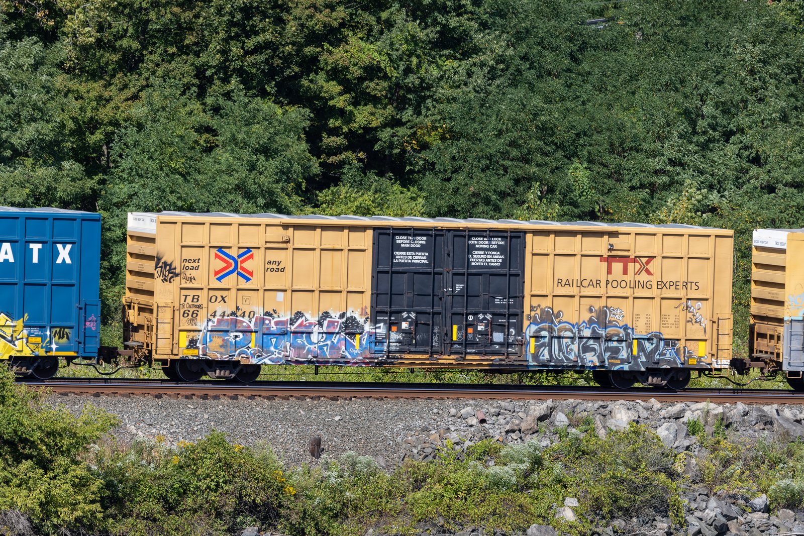 TBOX 664440