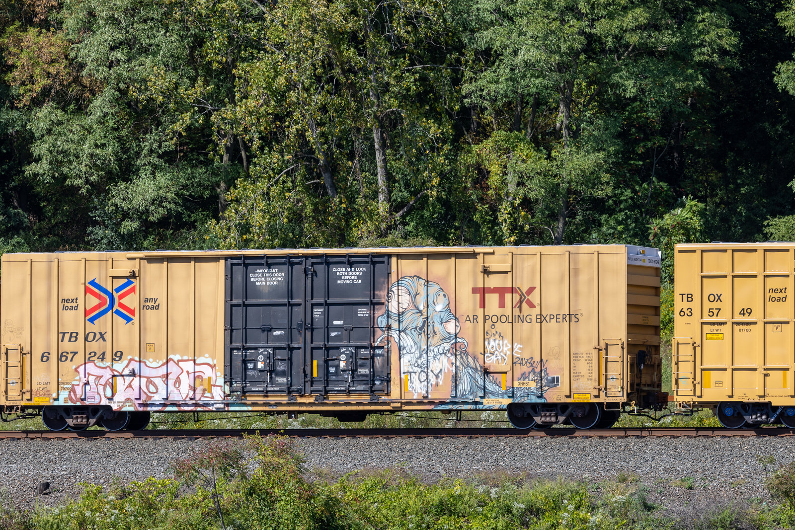 TBOX 667249