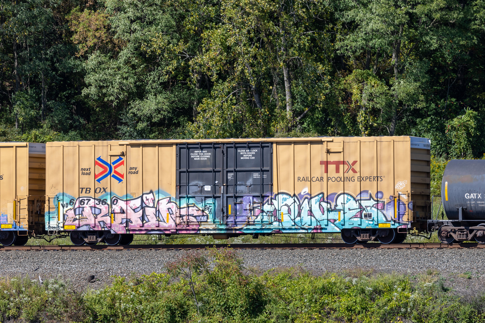 TBOX 667360