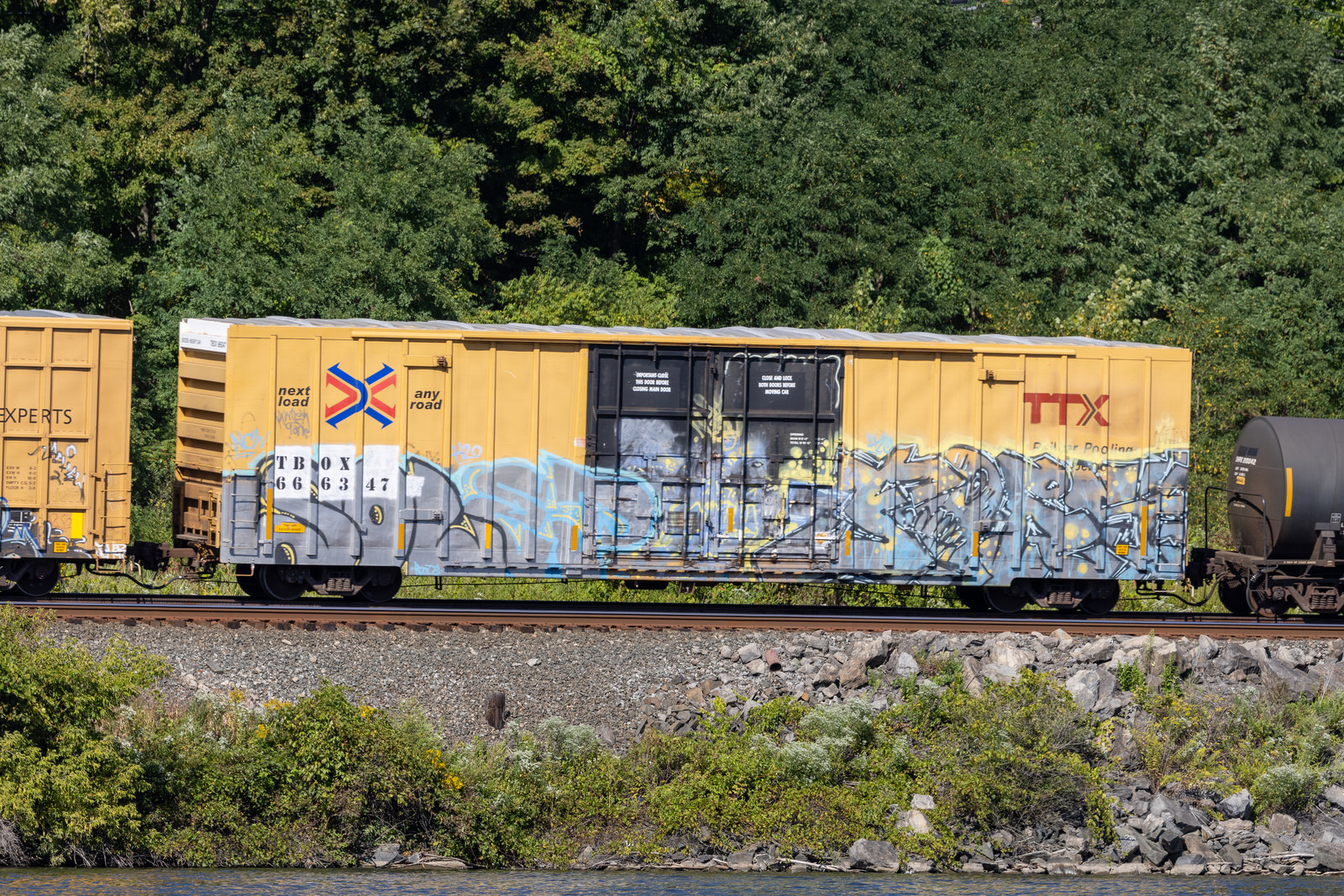 TBOX 666347