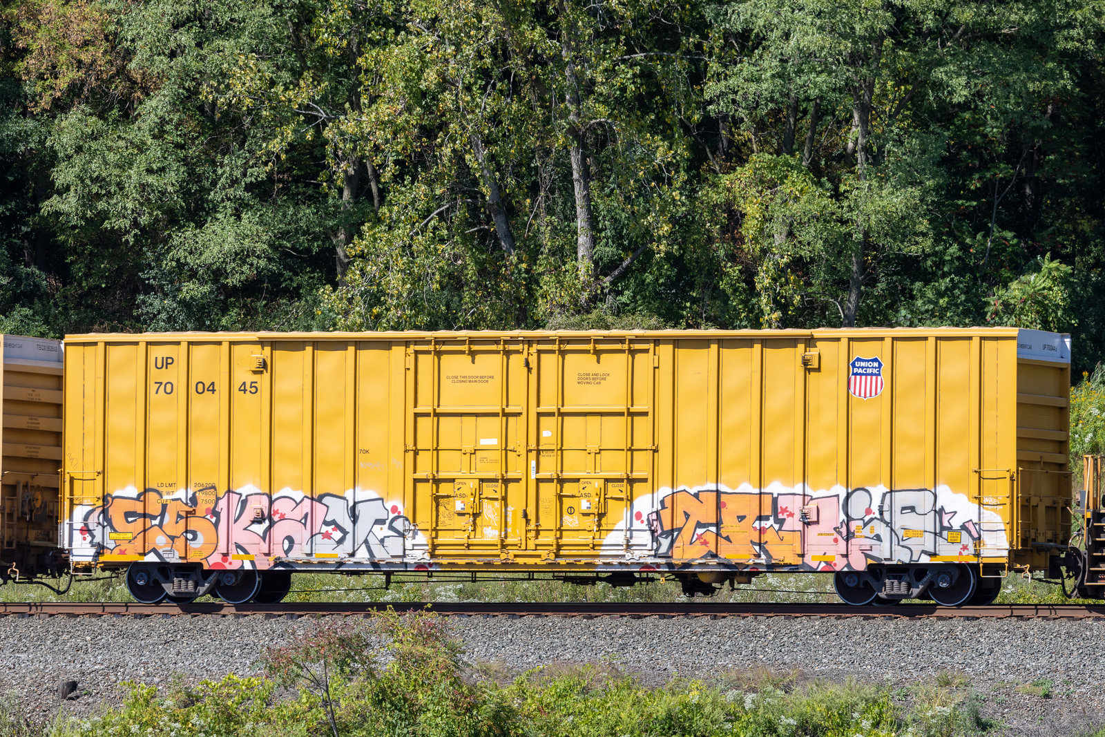 UP 700445
