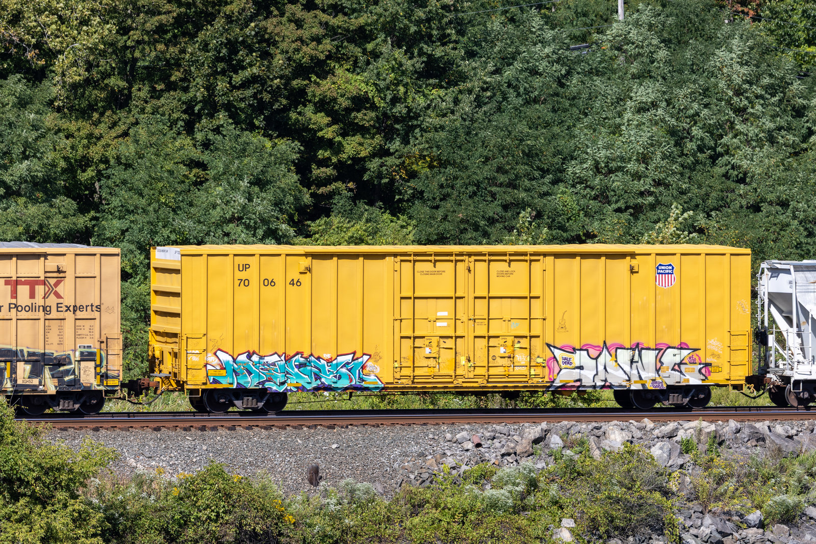 UP 700646