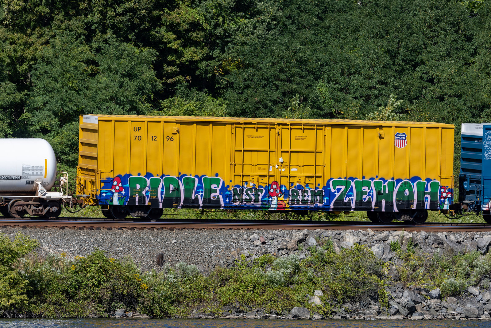 UP 701296