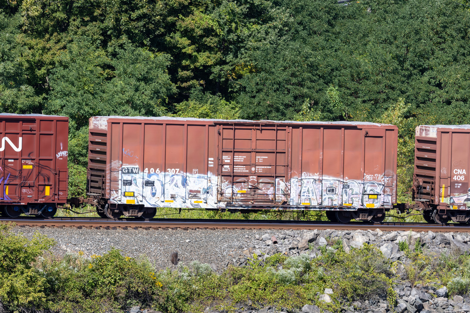 GTW 406307