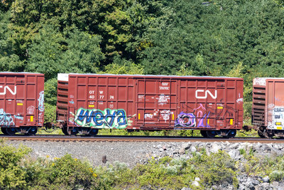 GTW 407774