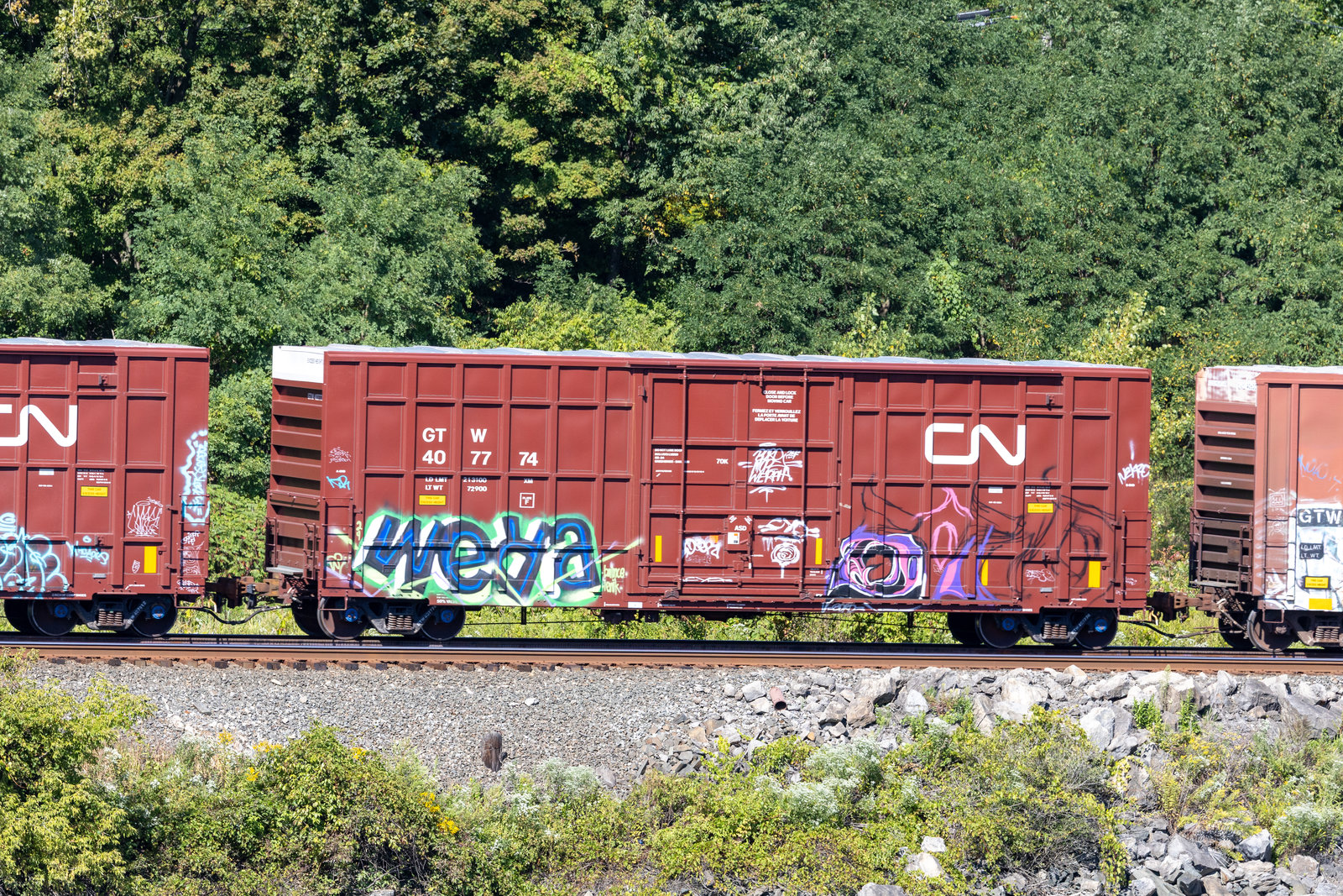 GTW 407774