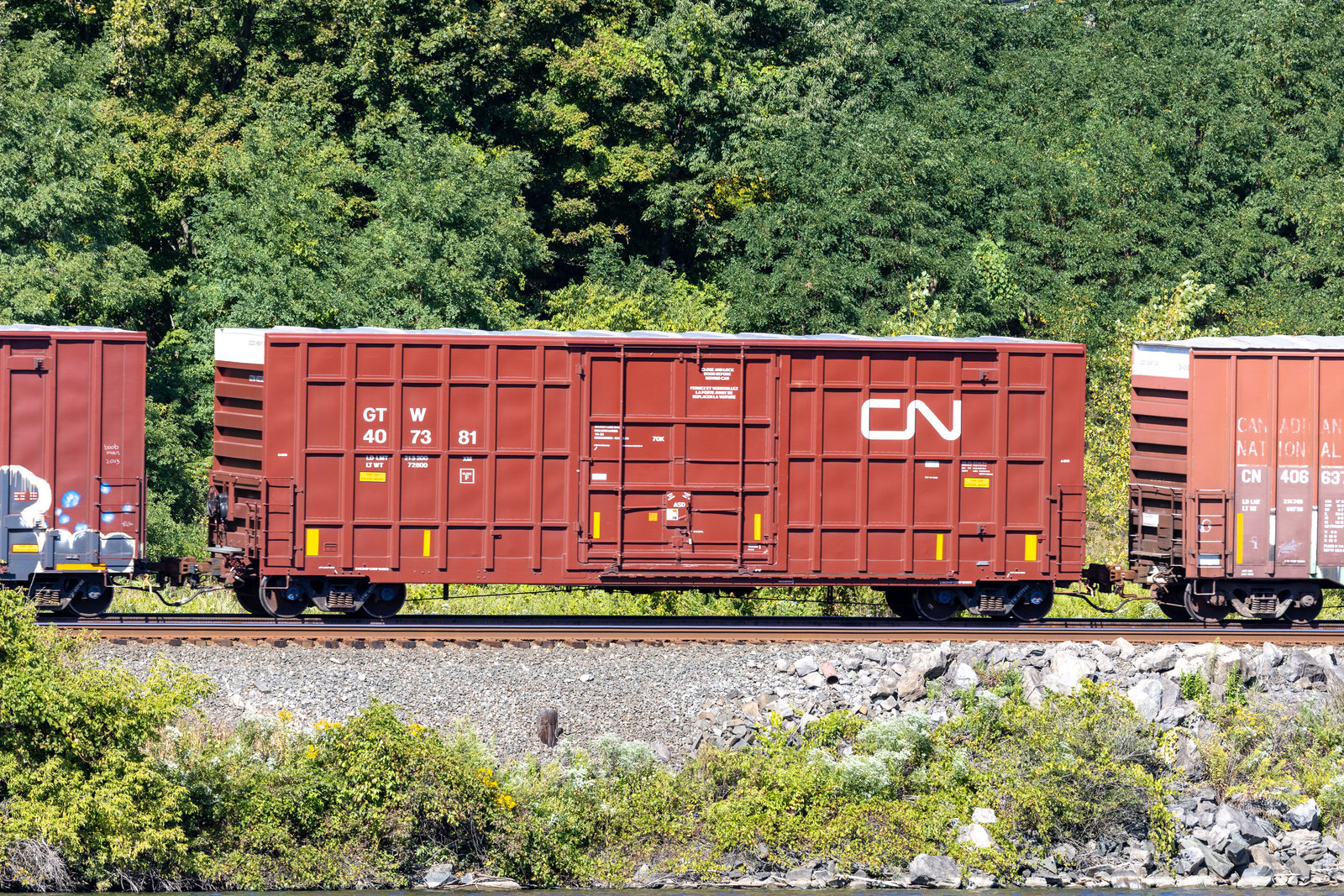 GTW 407381