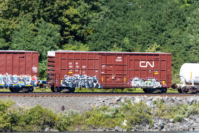 GTW 407809