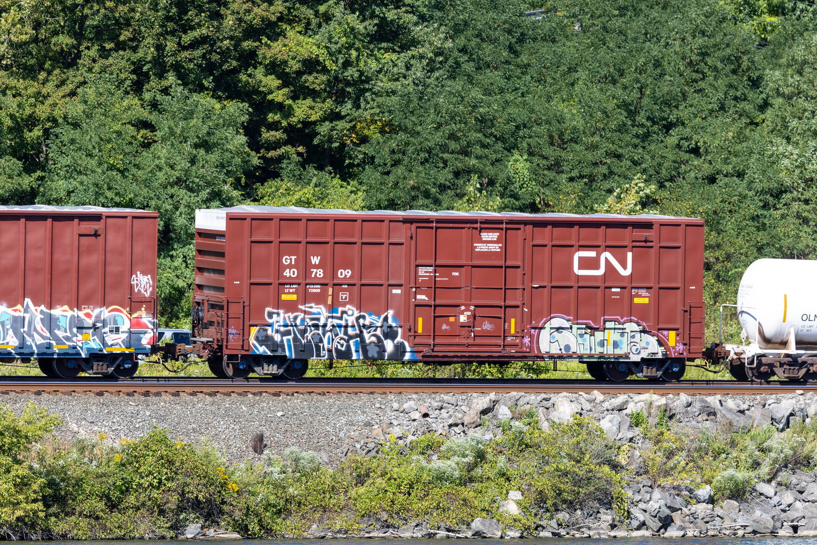 GTW 407809