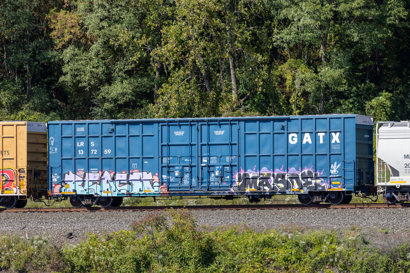 LRS 137259