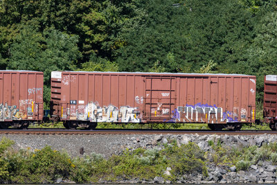 TR 18229