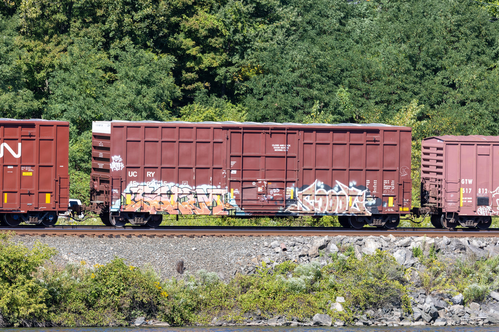 UCRY 15845