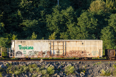 TPIX 3207