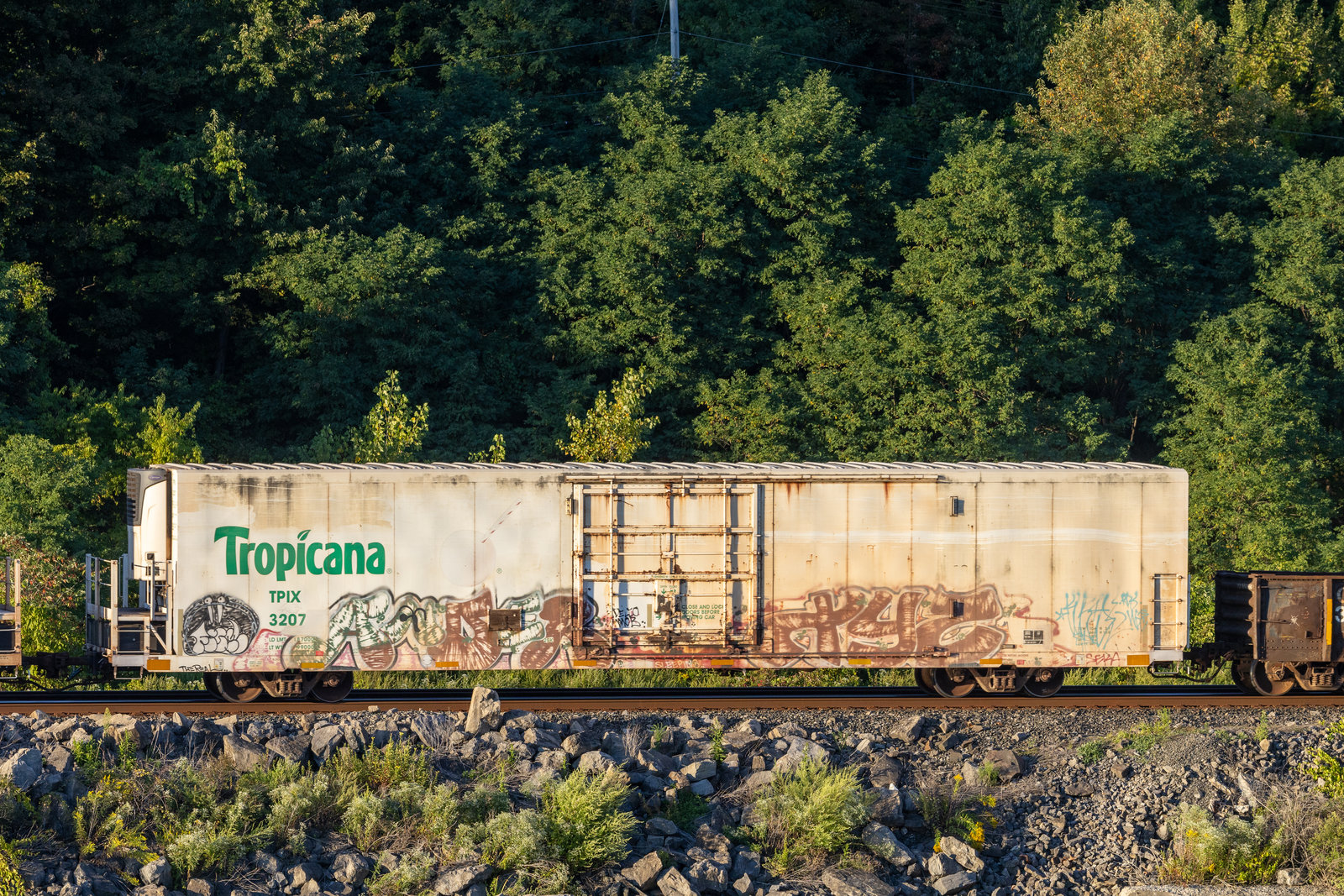 TPIX 3207