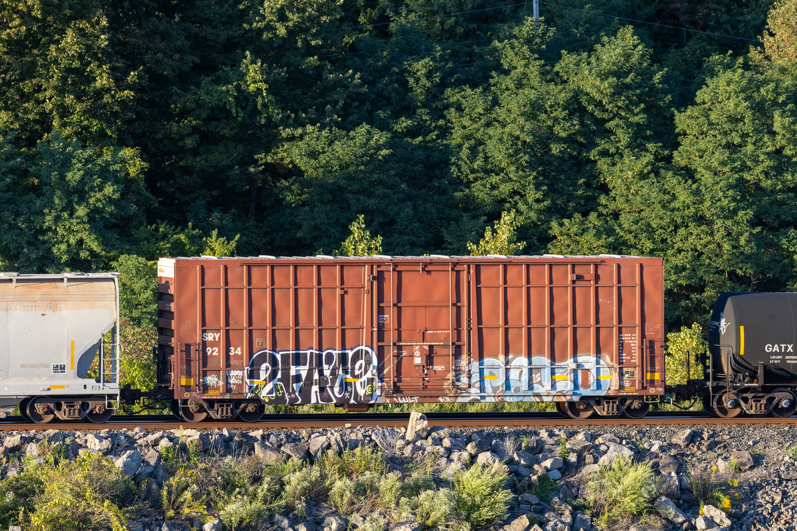 SRY 9234