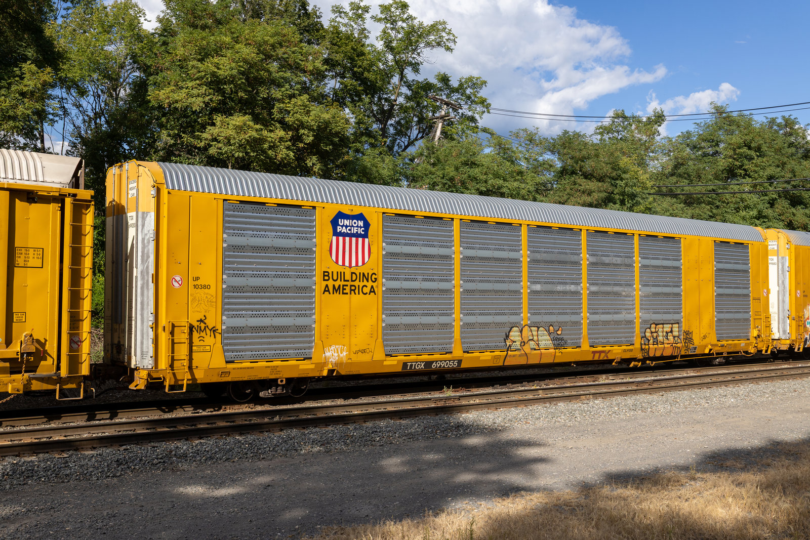TTGX 699055