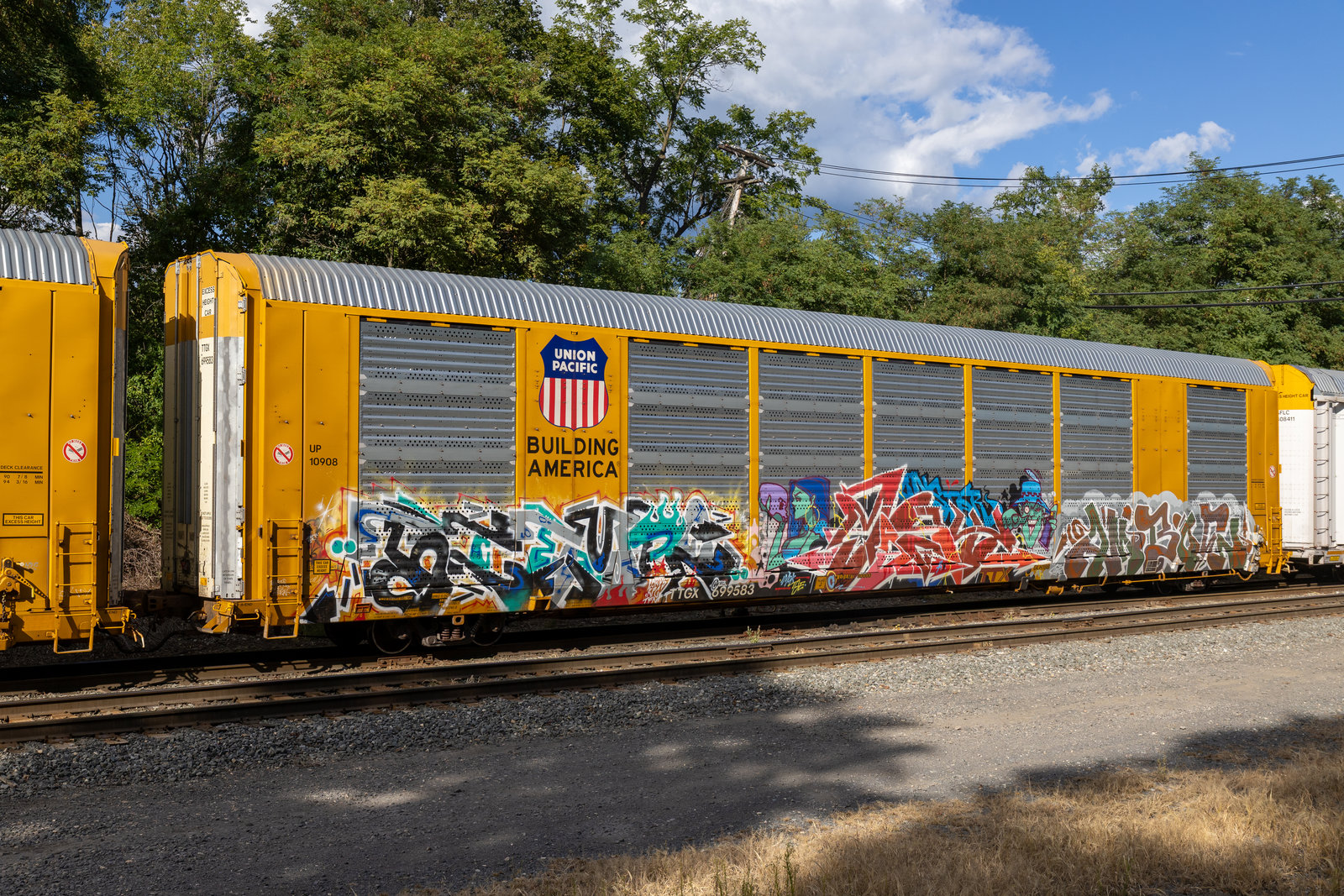TTGX 699583