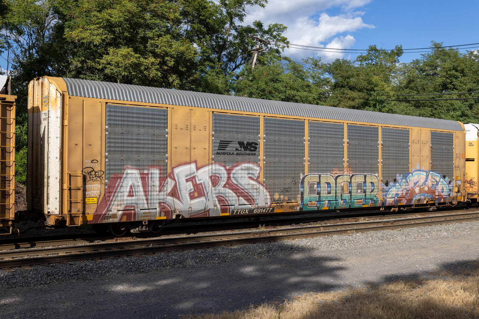 TTGX 691477
