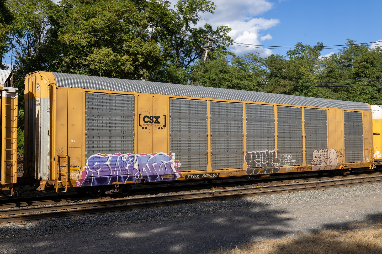 TTGX 695589
