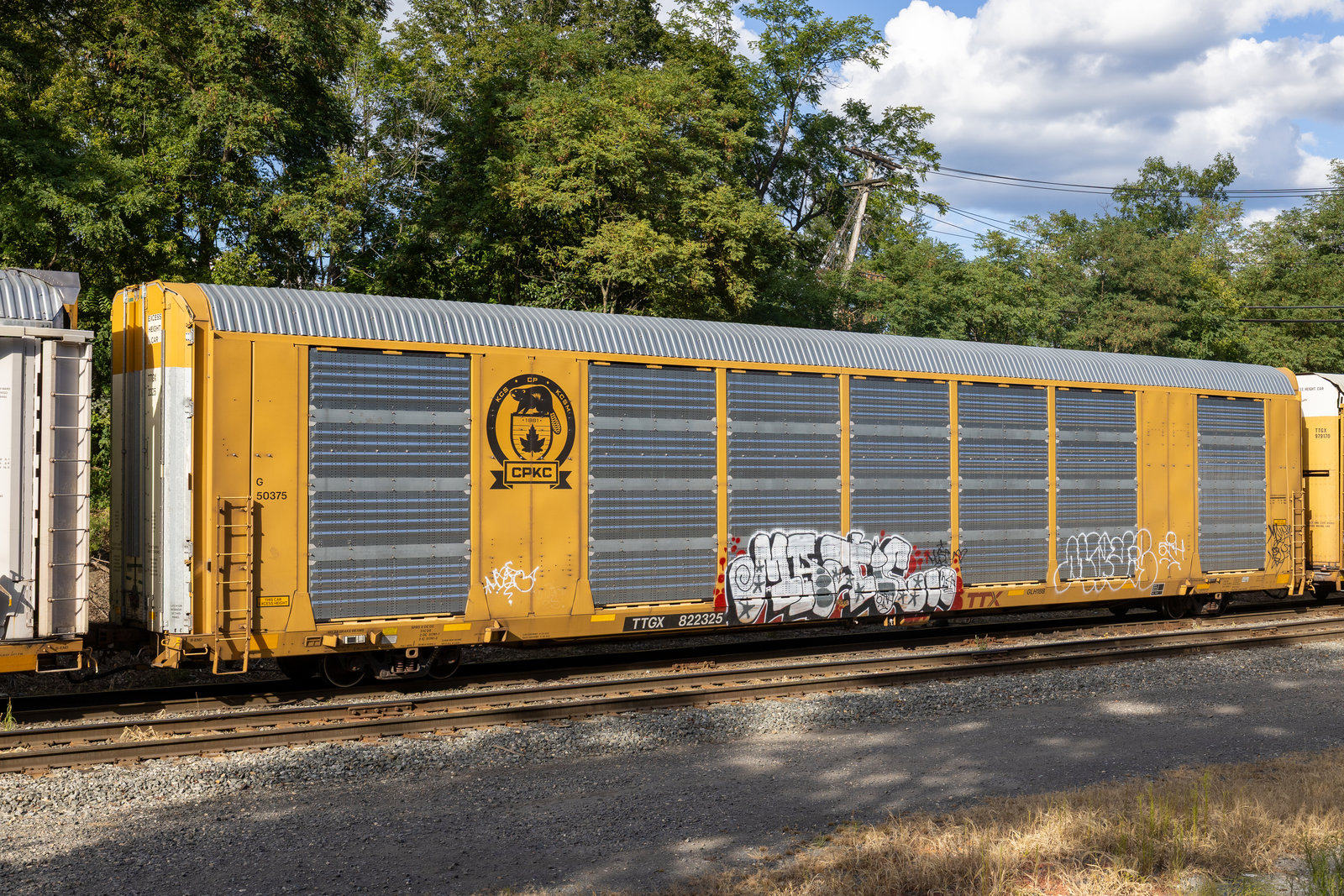 TTGX 822325