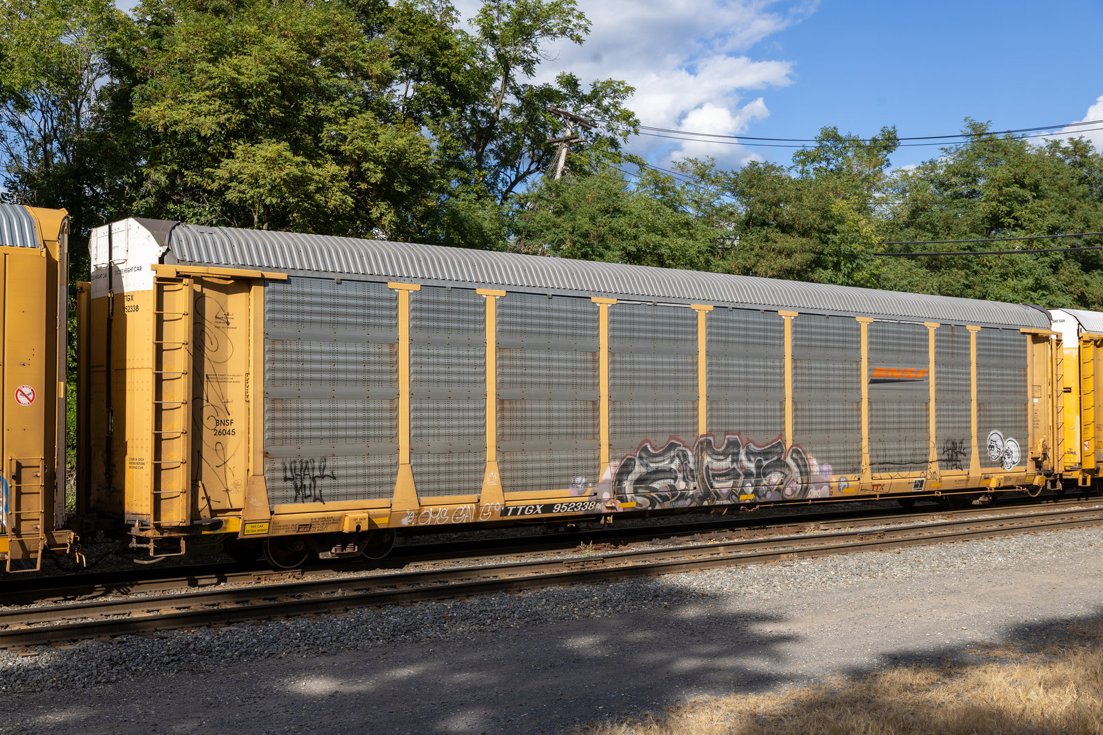 TTGX 952338