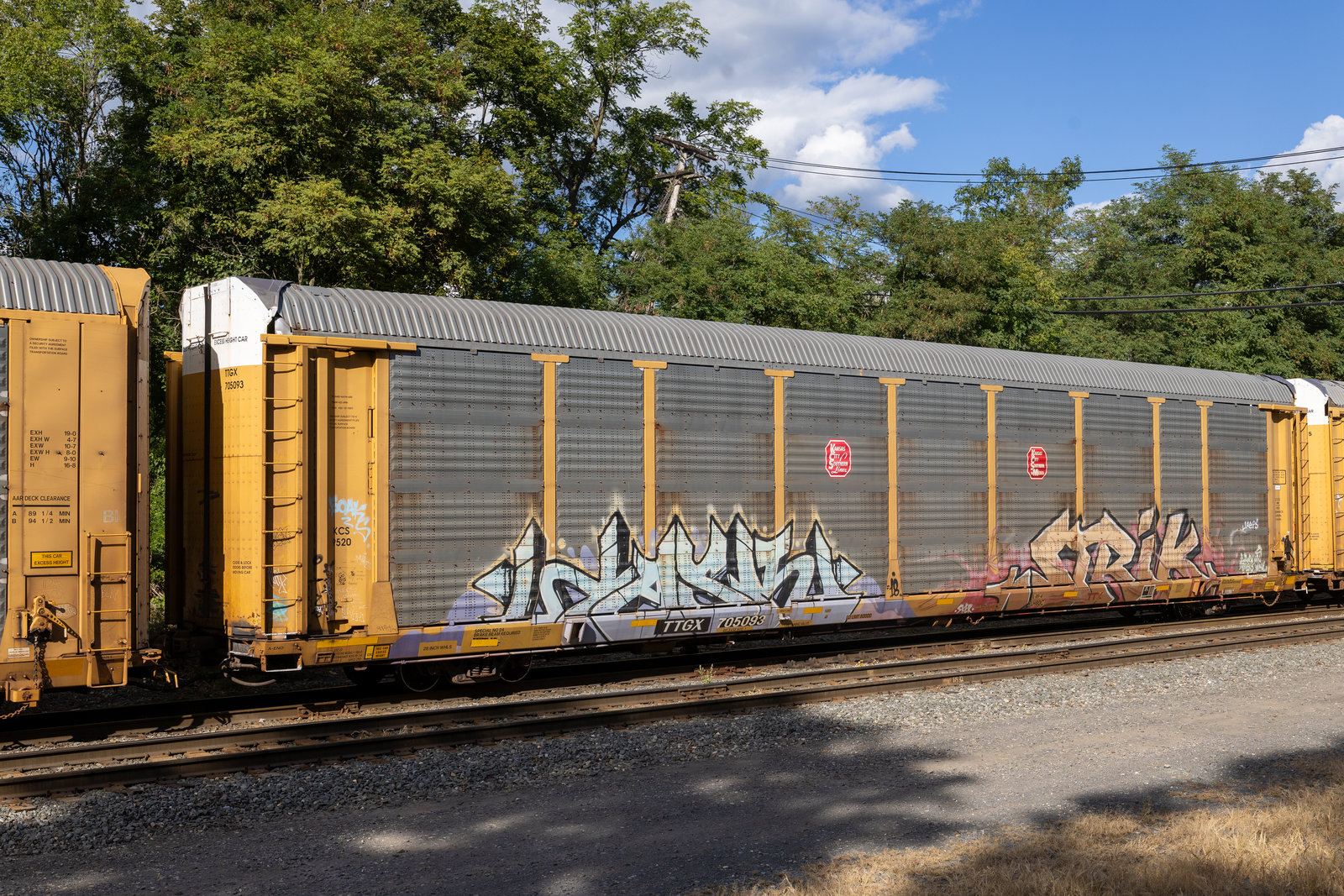 TTGX 705093