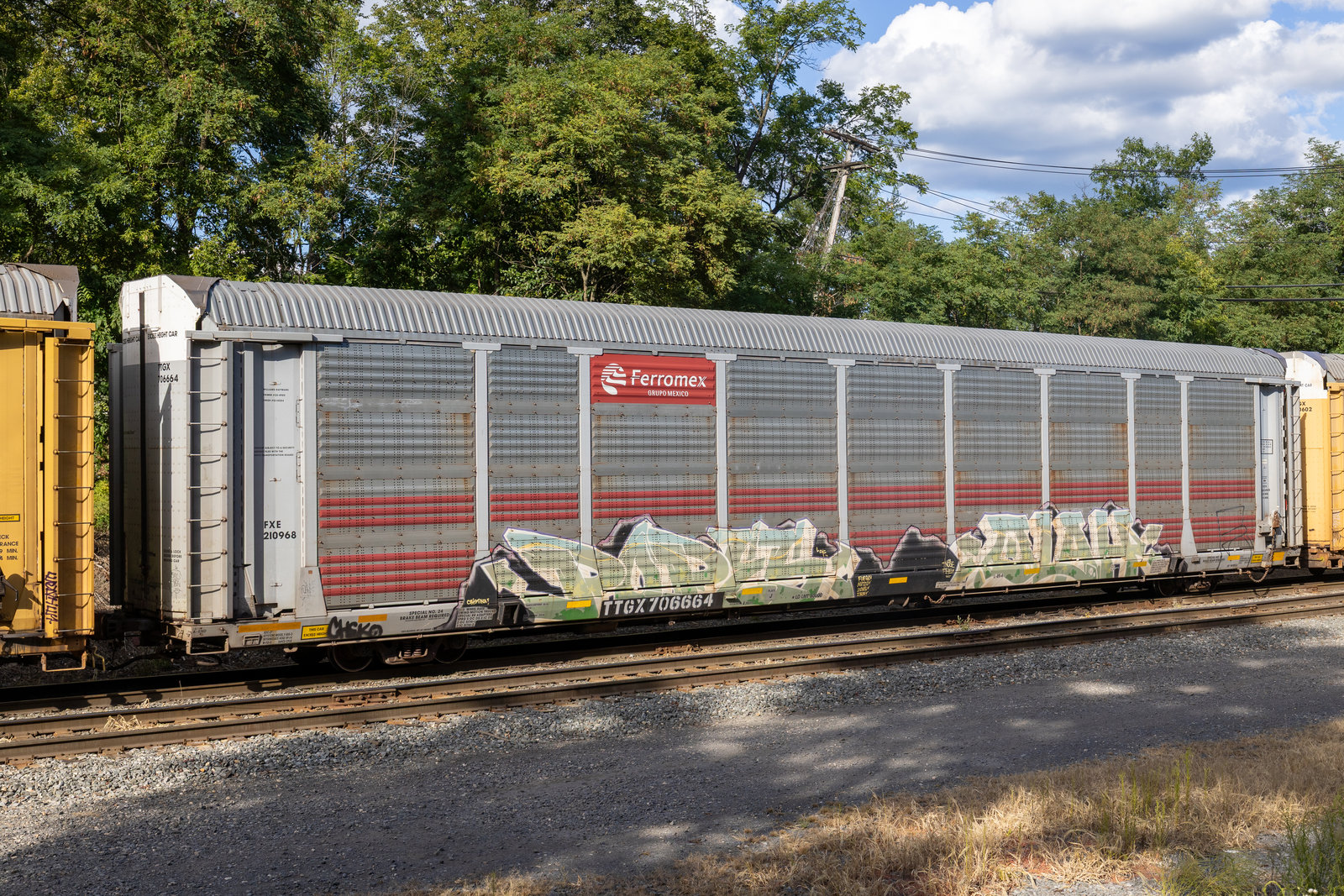 TTGX 706664