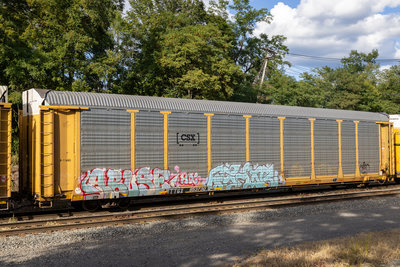 TTGX 953730