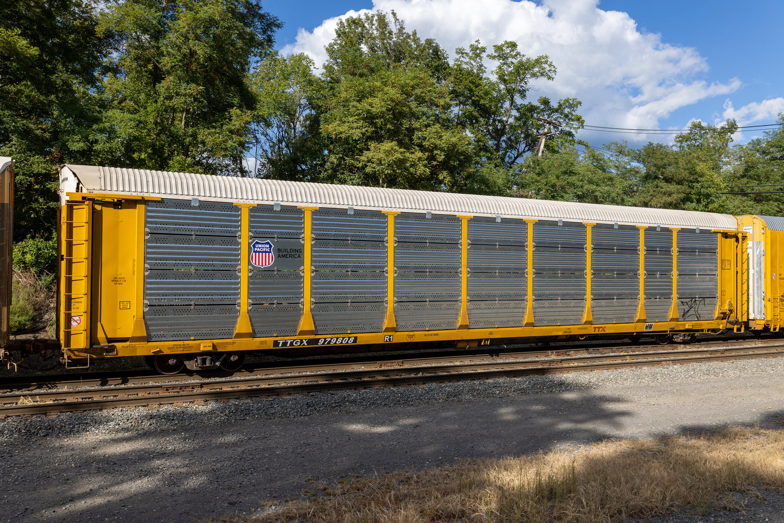 TTGX 979808