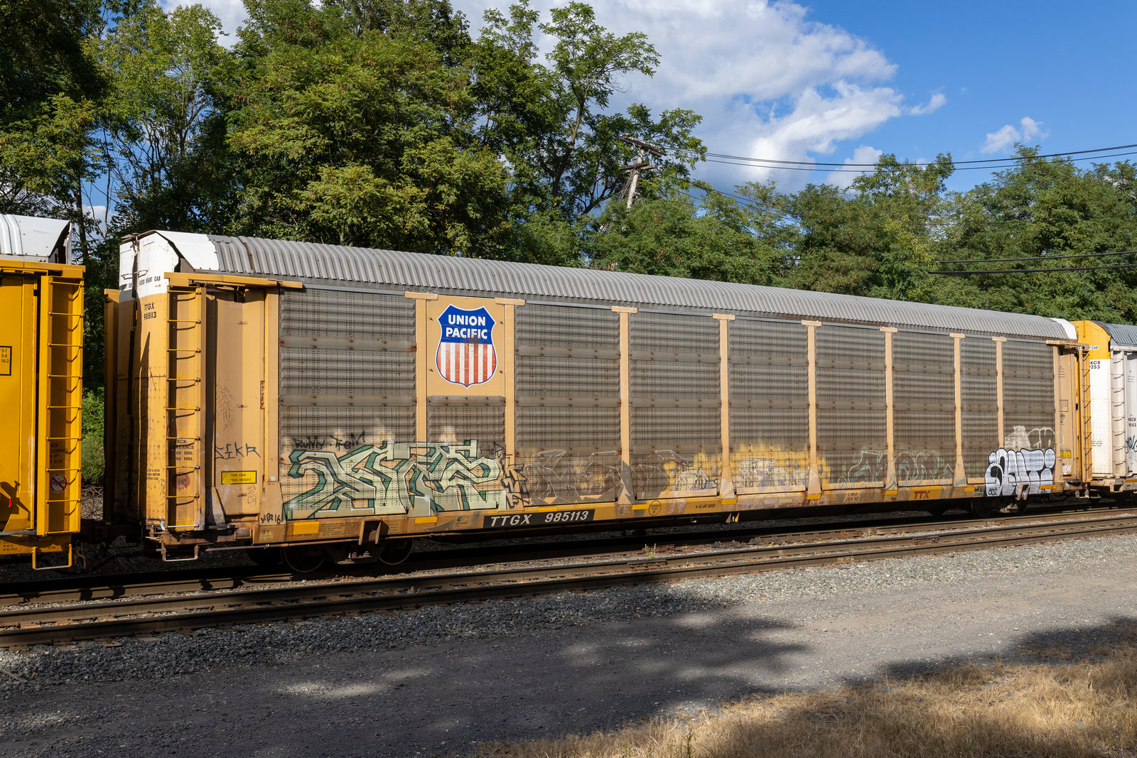 TTGX 985113