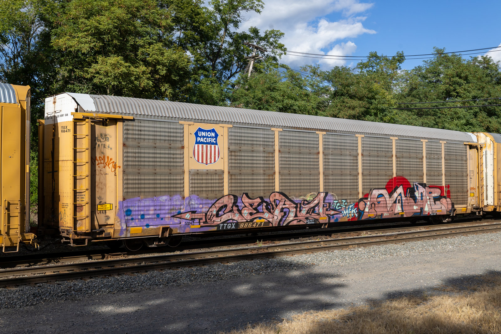 TTGX 986471