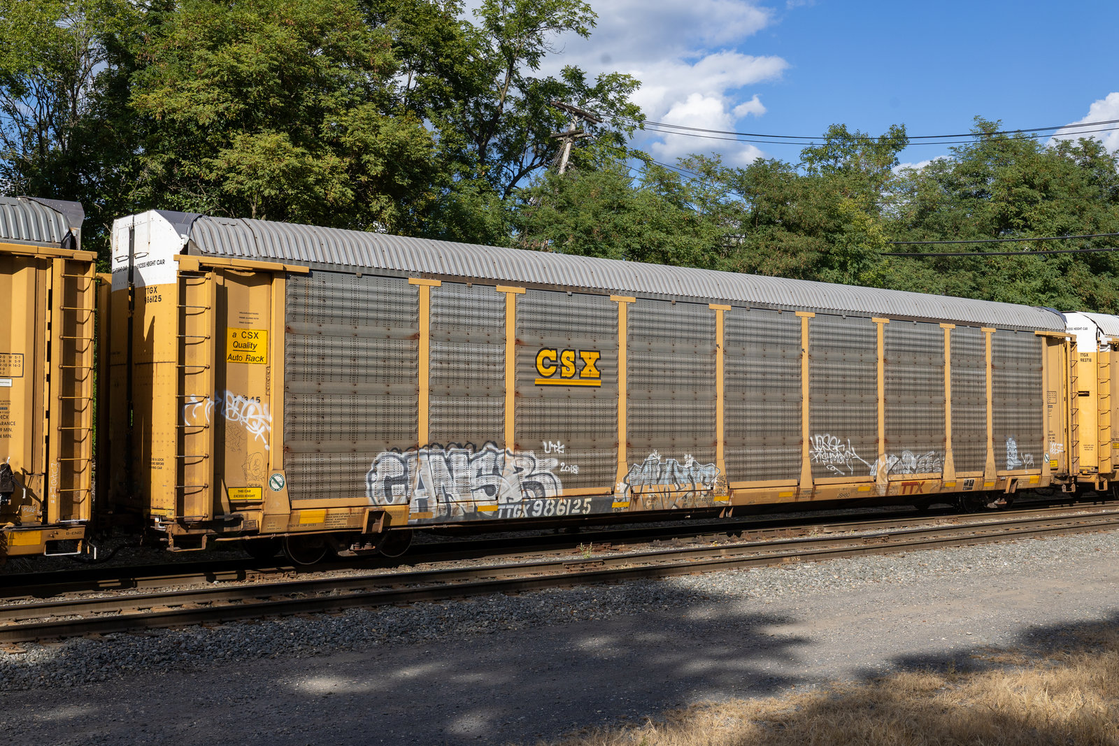 TTGX 986125