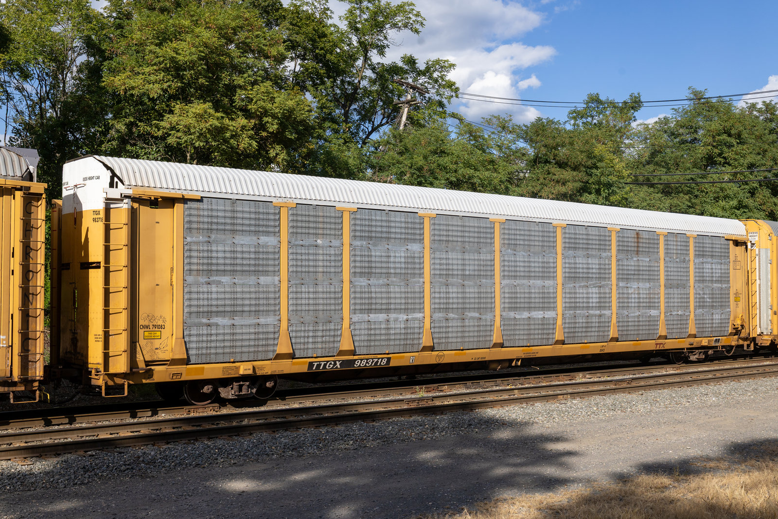 TTGX 983718