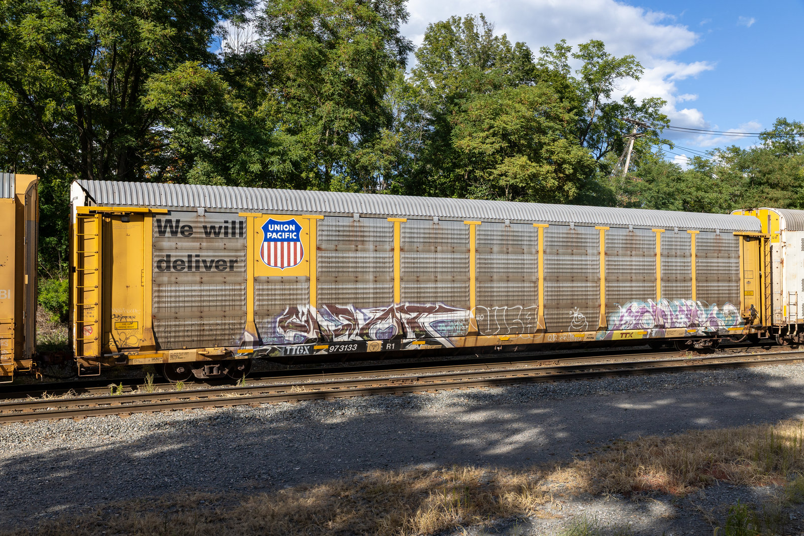 TTGX 973133