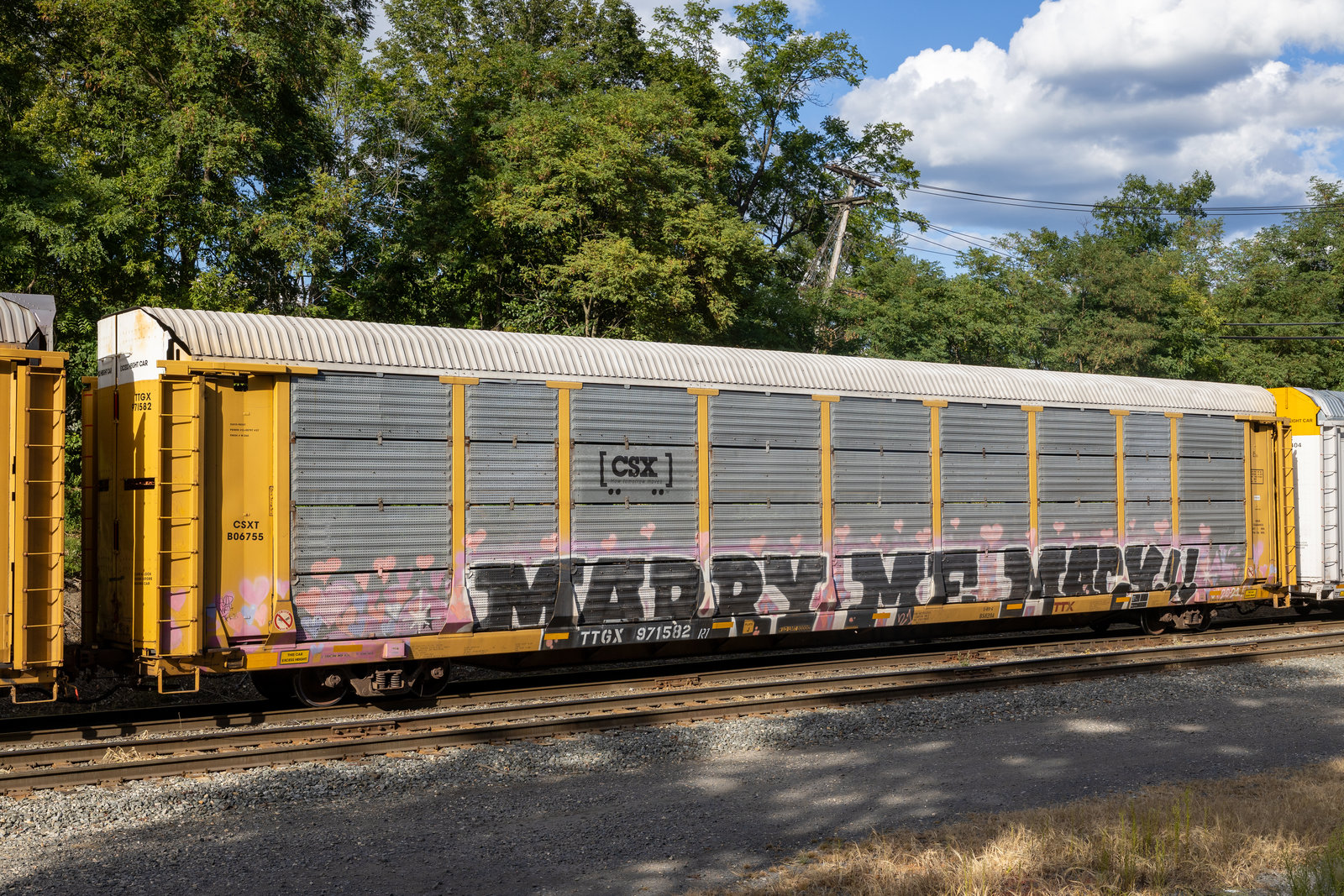 TTGX 971582