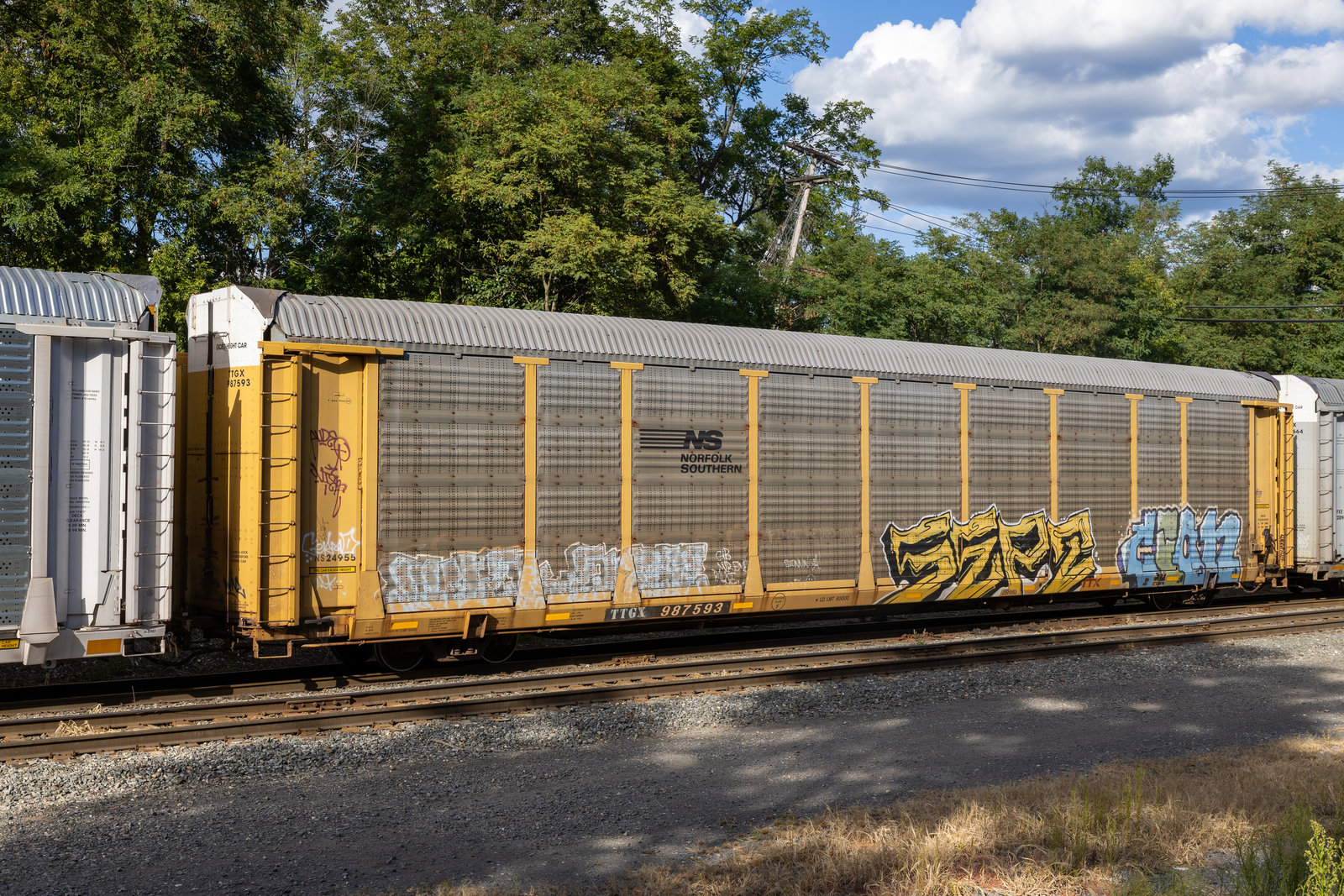 TTGX 987593