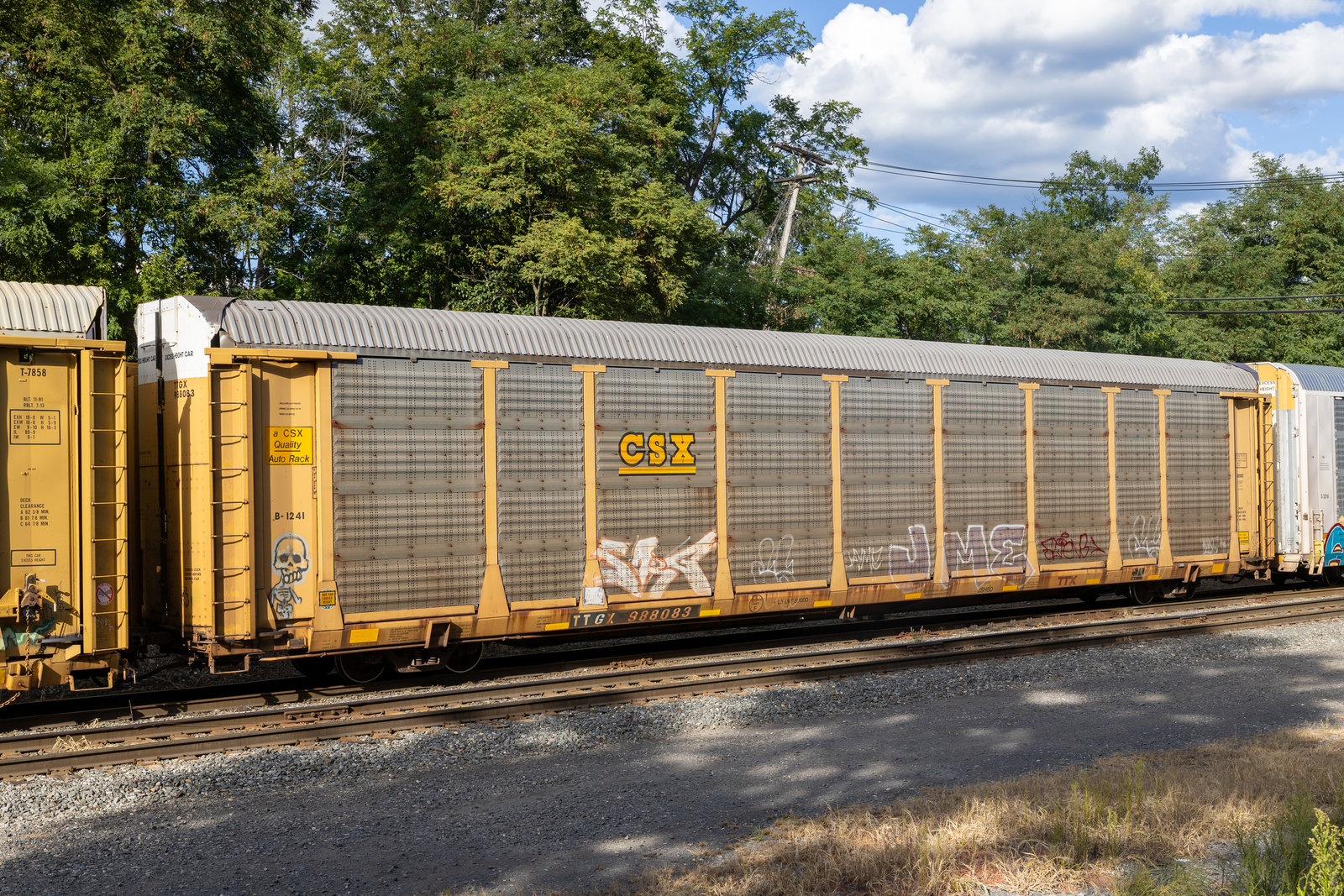 TTGX 988083