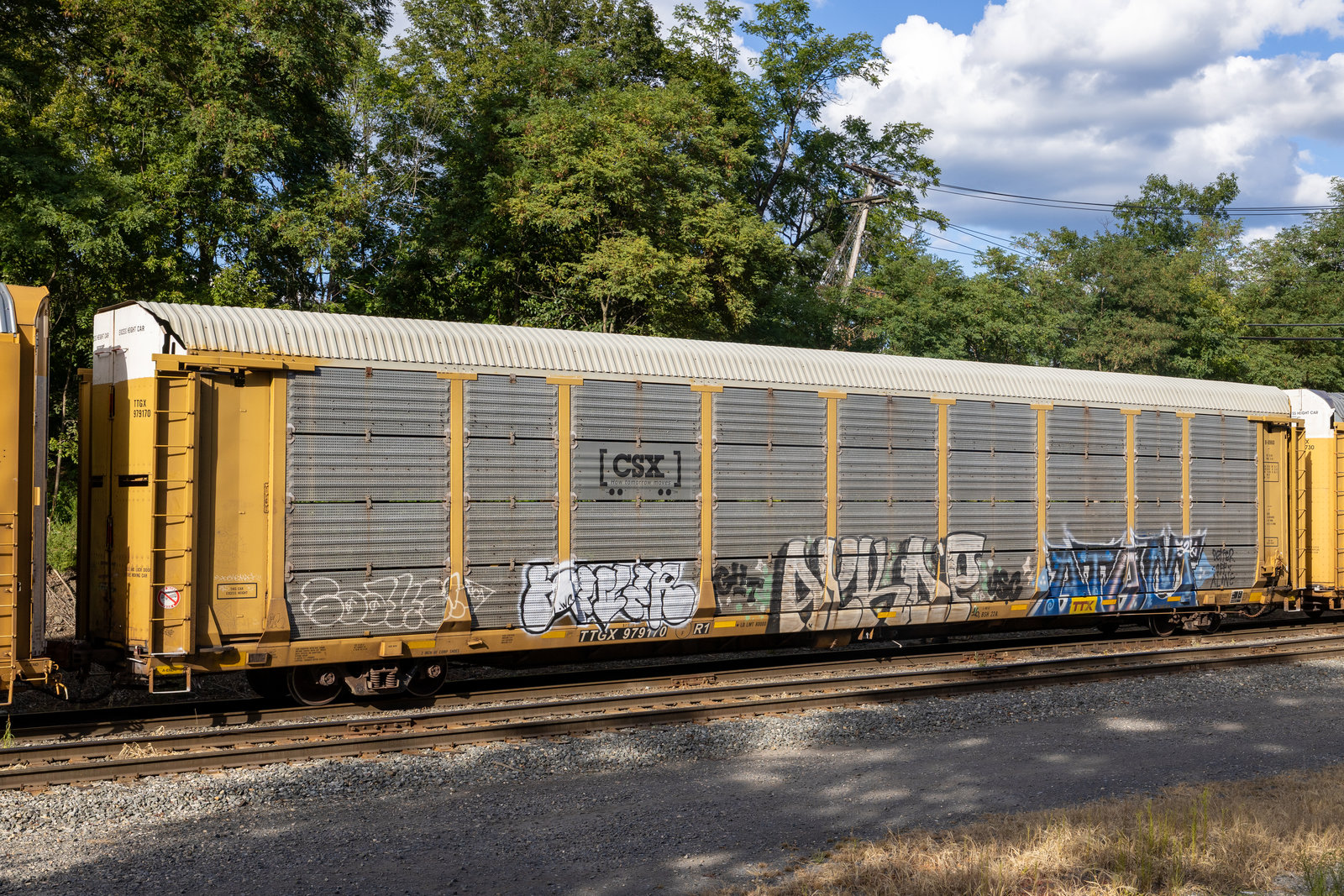TTGX 979170