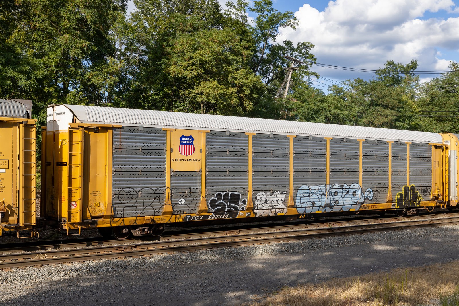 TTGX 982324
