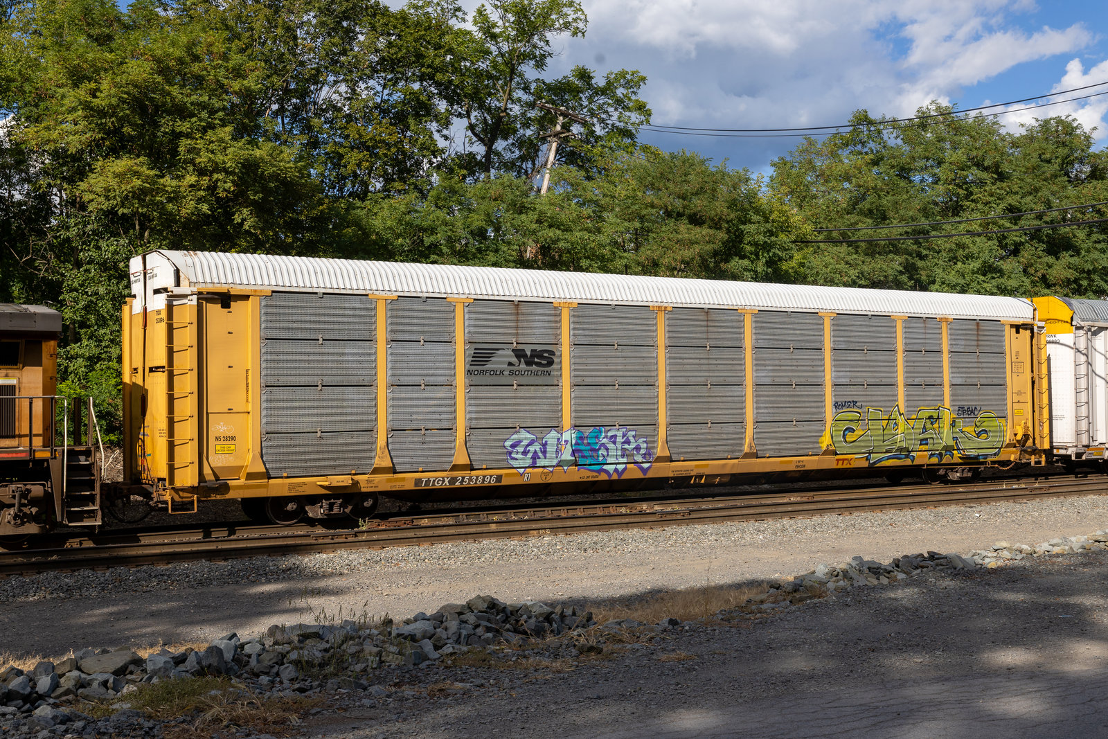 TTGX 253896