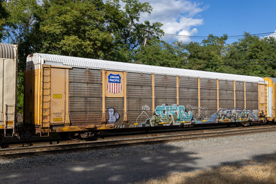 TTGX 254096